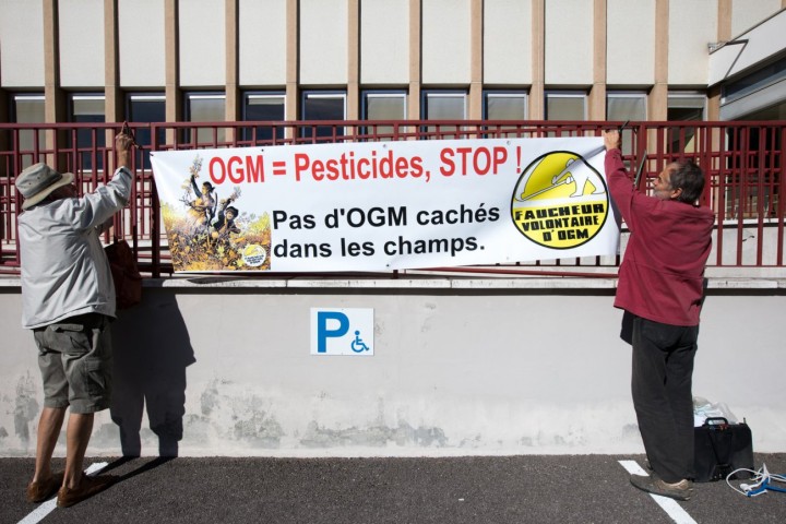 Dijon : le procès des faucheurs volontaires d’OGM aura lieu les 15 et 16 novembre